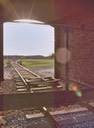 Auschwitz - 1998 - 33 di 33