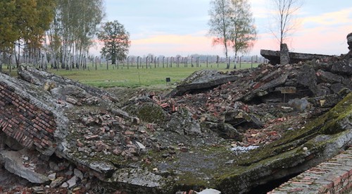 Auschwitz - 2012 - 1 di 53