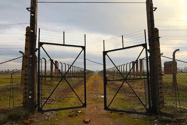 Auschwitz - 2012 - 10 di 53