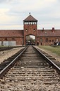 Auschwitz - 2012 - 11 di 53