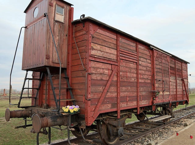 Auschwitz - 2012 - 12 di 53