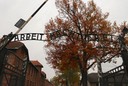 Auschwitz - 2012 - 16 di 53