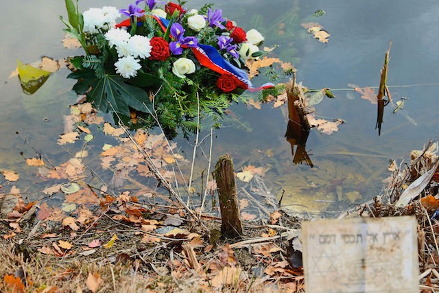 Auschwitz - 2012 - 20 di 53