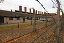 Auschwitz - 2012 - 25 di 53