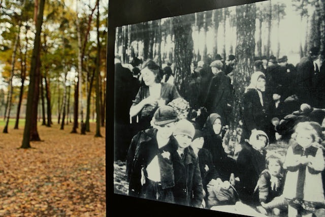 Auschwitz - 2012 - 33 di 53