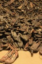Auschwitz - 2012 - 38 di 53