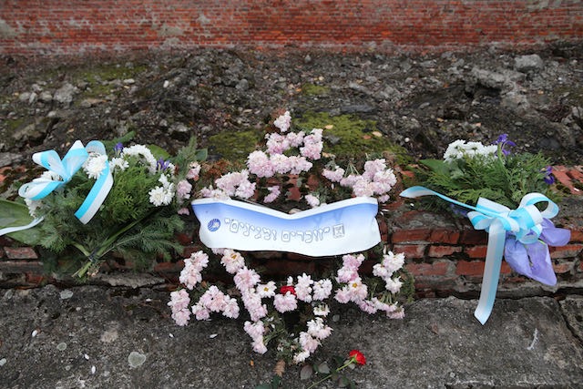 Auschwitz - 2012 - 40 di 53