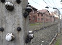 Auschwitz - 2012 - 45 di 53