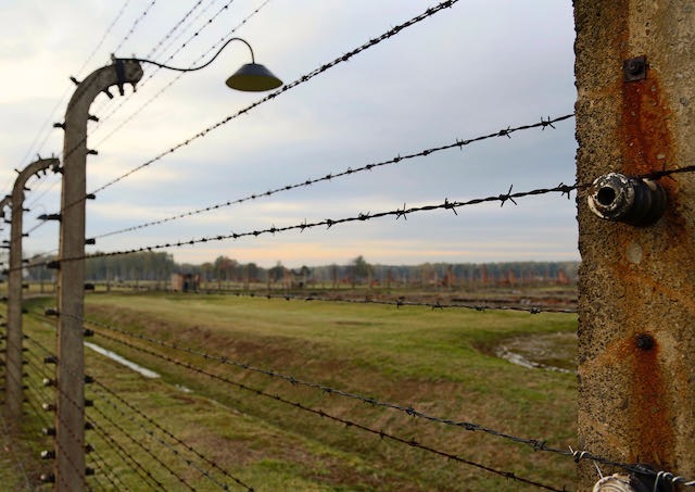 Auschwitz - 2012 - 46 di 53