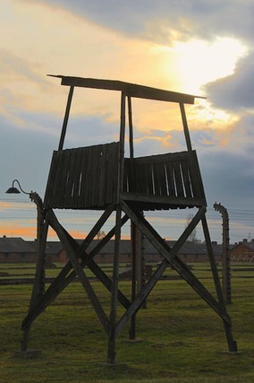 Auschwitz - 2012 - 53 di 53