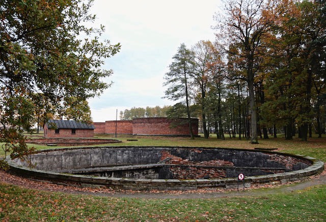 Auschwitz - 2012 - 7 di 53