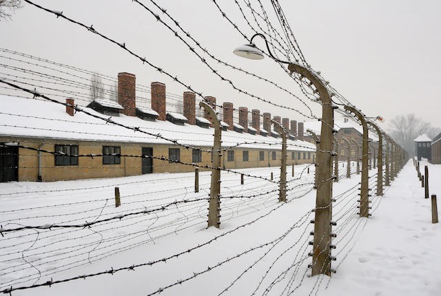 Auschwitz KL1 - 2009 - 1 di 46