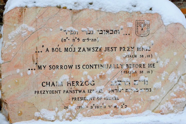 Auschwitz KL1 - 2009 - 35 di 46