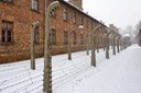 Auschwitz KL1 - 2009 - 38 di 46