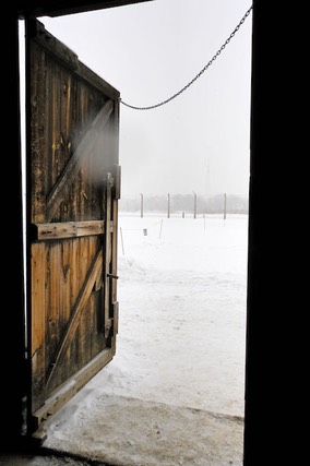 Auschwitz KL2 - 2009 - 13 di 31