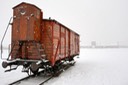 Auschwitz KL2 - 2009 - 14 di 31