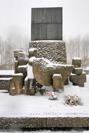 Auschwitz KL2 - 2009 - 19 di 31