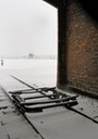 Auschwitz KL2 - 2009 - 2 di 31