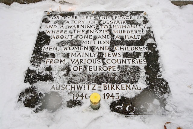 Auschwitz KL2 - 2009 - 20 di 31