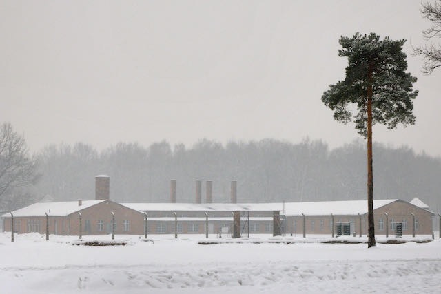 Auschwitz KL2 - 2009 - 29 di 31