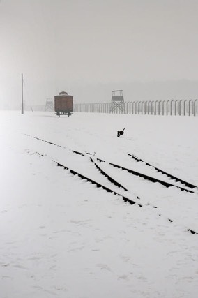 Auschwitz KL2 - 2009 - 3 di 31