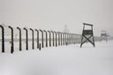 Auschwitz KL2 - 2009 - 6 di 31
