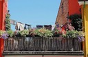 Burano - 2013 - 13 di 35