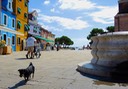 Burano - 2013 - 9 di 35