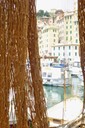 Camogli - 2012 - 16 di 23