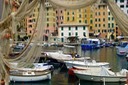 Camogli - 2012 - 21 di 23