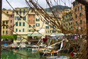 Camogli - 2012 - 8 di 23