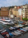 Camogli e dintorni - 2009 - 21 di 60