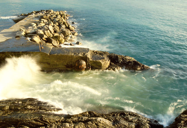 Camogli e dintorni - 2009 - 47 di 60
