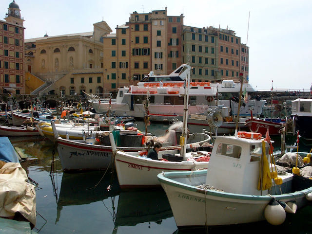 Camogli e dintorni - 2009 - 4 di 60