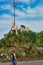 Camogli e Portofino - 2004 - 62 di 62