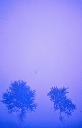 Campagna - 1990 - 25 di 27