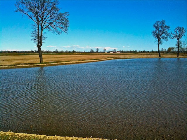 Campagna - 2010 - 16 di 22