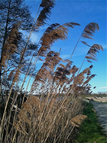 Campagna - 2010 - 4 di 22
