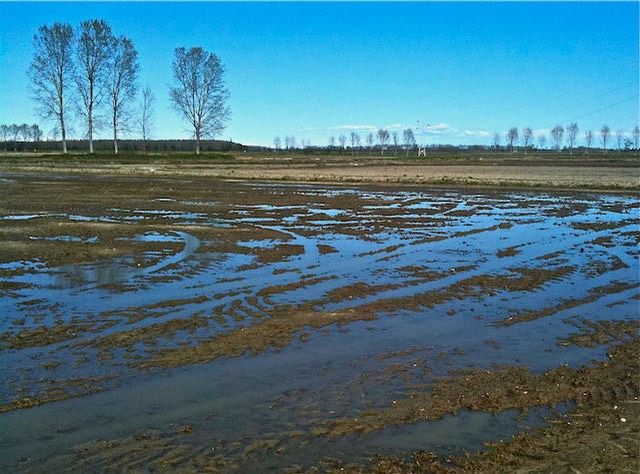 Campagna - 2010 - 8 di 22