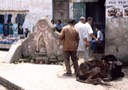 India, Nepal e Tibet - 1996 - 60 di 152