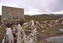 India, Nepal e Tibet - 1996 - 86 di 152