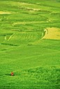 India, Nepal e Tibet - 1996 - 105 di 152