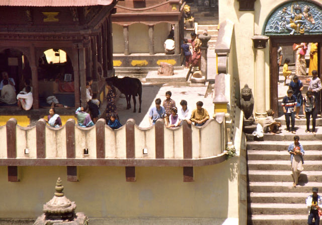 India, Nepal e Tibet - 1996 - 98 di 152