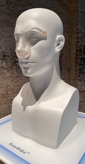 La Biennale - 2021 - 12 di 38