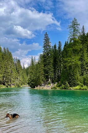 Lago di Braies - 2021 - 6 di 9