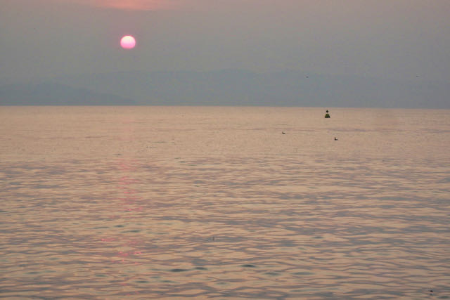 Lazise - 2014 - 1 di 13