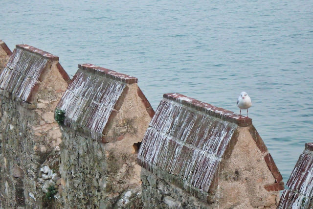 Lazise - 2014 - 5 di 13