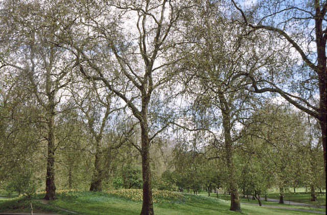 Londra - 1998 - 15 di 39