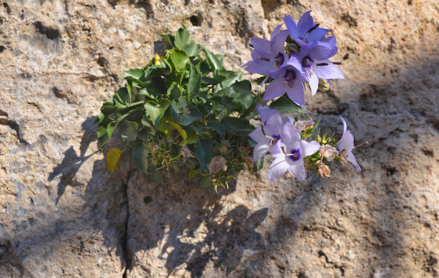 Matera - 2019 - 28 di 47