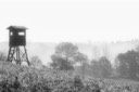 Mauthausen - Gusen - 2016 - 29 di 65